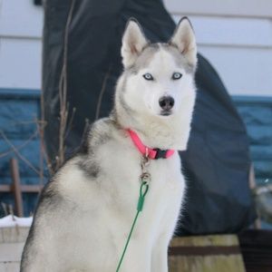 Meet your Posher, Stephanie